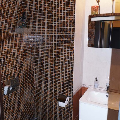 В отделке туалета совмещена мозаика и крупная керамическая плитка